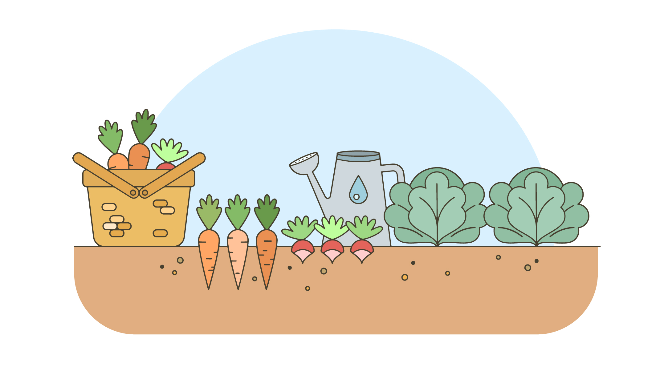 Graphic depicting vegetables growing